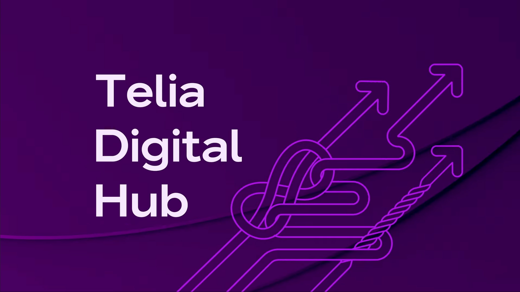 telia_digital_hub_2025